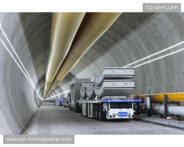 异构网络自适应传输技术突破 提升弱网环境分发质量 异构网络自适应传输技术突破 提升弱网环境分发质量